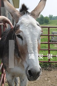 浦发银行信用卡 逾期还款 浦发银行信用卡 逾期还款